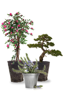 Products_6.png